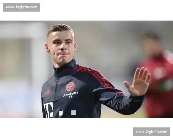 官方：拜仁前锋维多维奇 120 万欧加盟萨格勒布迪纳摩，身披 10 号剑指双冠