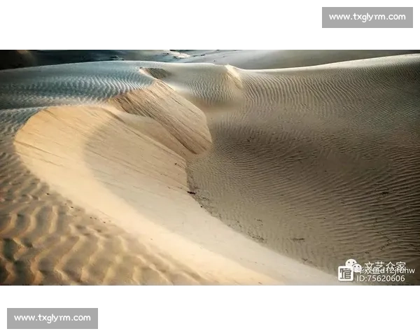 沙漠之花困境中绽放！叙利亚女足机场过夜迎战中国 U20