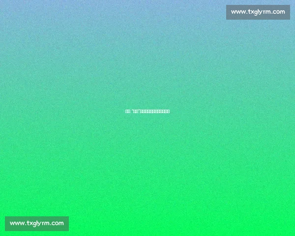 赛事 “燃城”：一场双向奔赴的活力共振